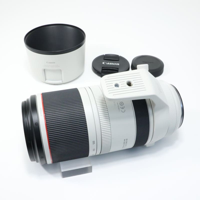 RF100-500mm F4.5-7.1 L IS USM