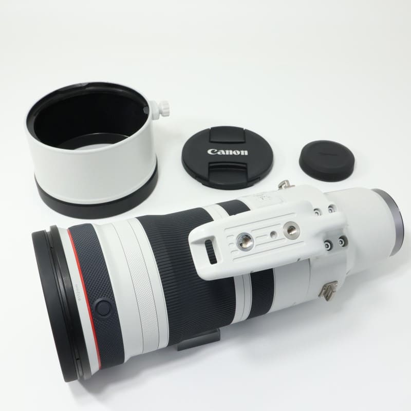 RF100-300mm F2.8 L IS USM