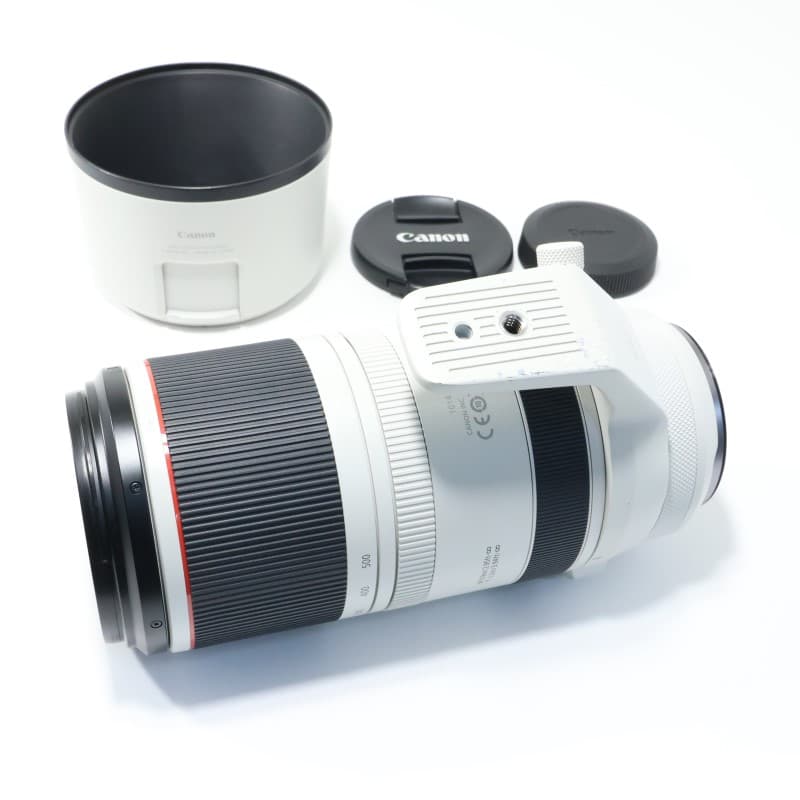 RF100-500mm F4.5-7.1 L IS USM