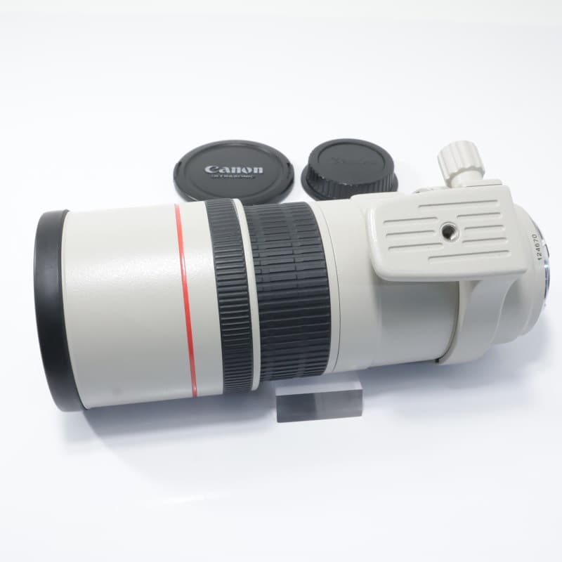 EF300mm F4L IS USM