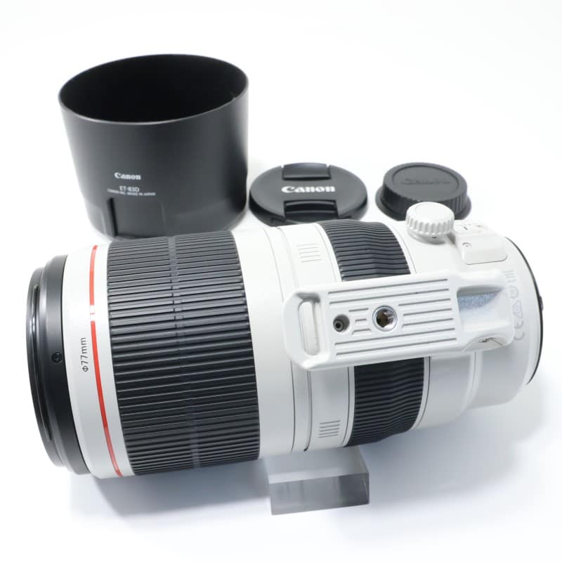 EF100-400mm F4.5-5.6L IS II USM