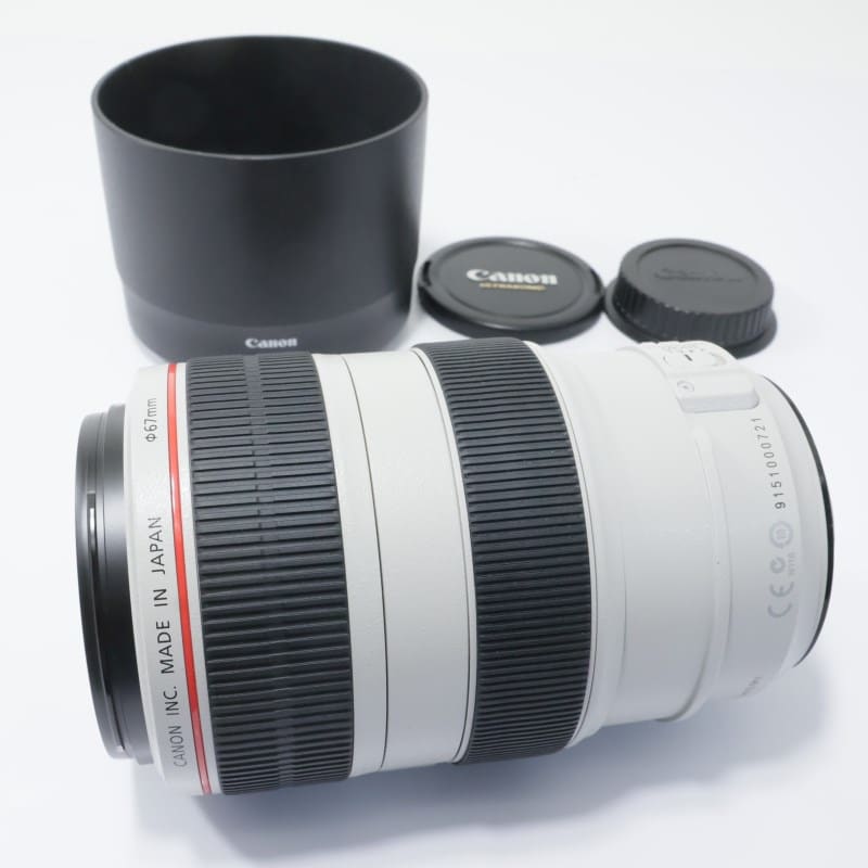EF 70-300mm F4-5.6 L IS USM