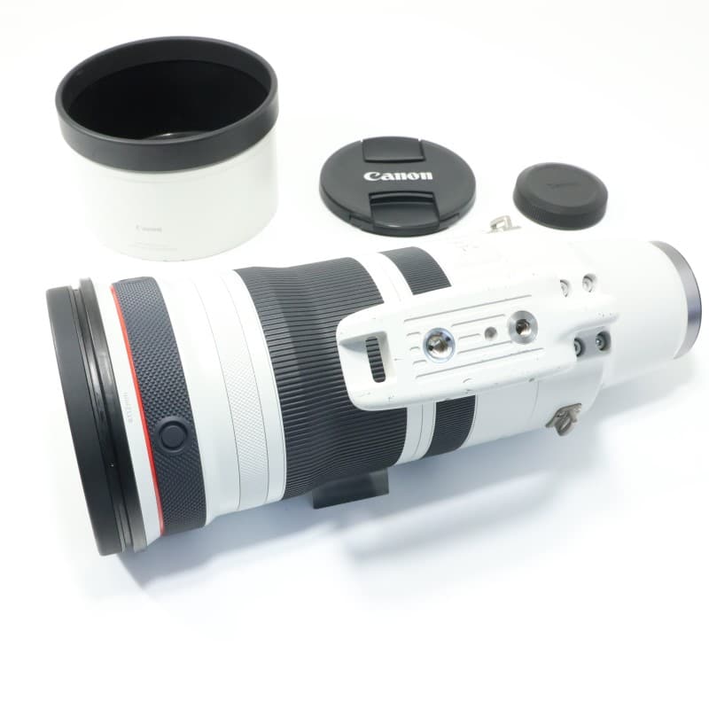 RF100-300mm F2.8 L IS USM