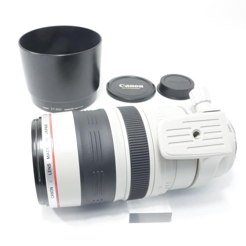 EF 100-400mm F4.5-5.6 L IS USM