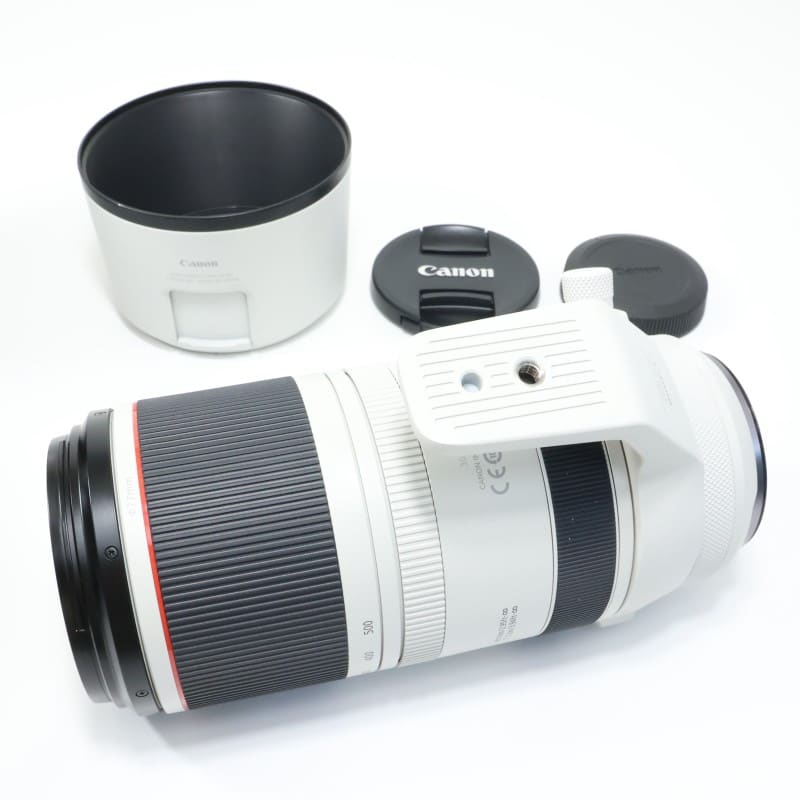 RF100-500mm F4.5-7.1 L IS USM