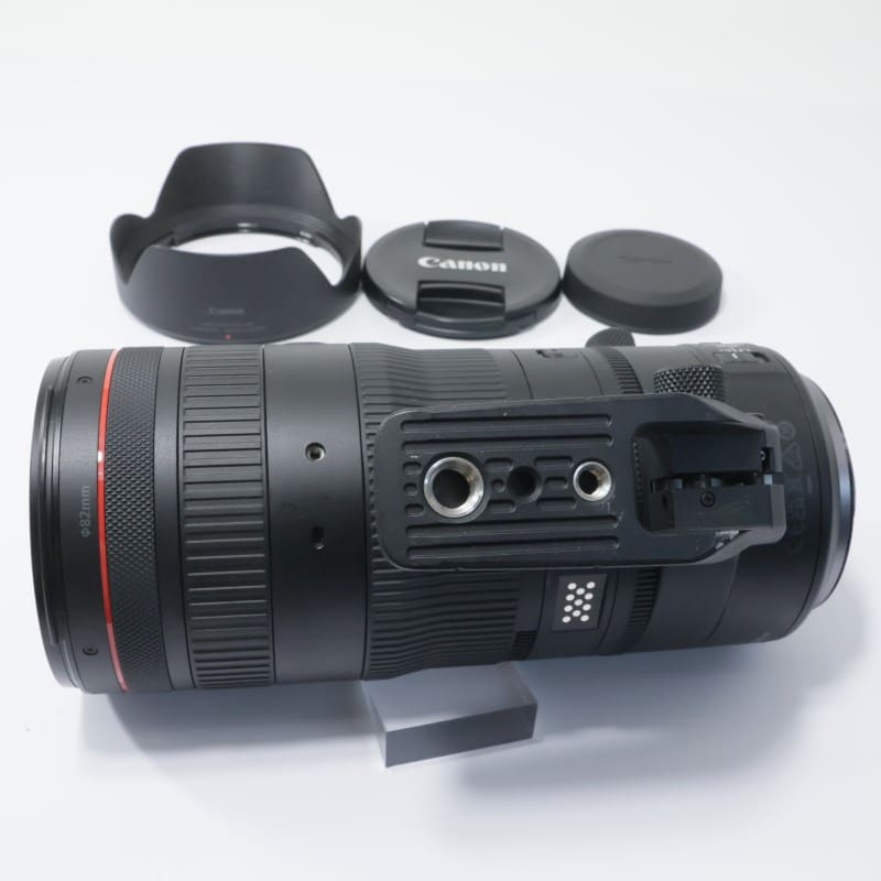 RF24-105mm F2.8 L IS USM Z