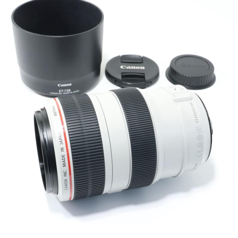 EF 70-300mm F4-5.6 L IS USM