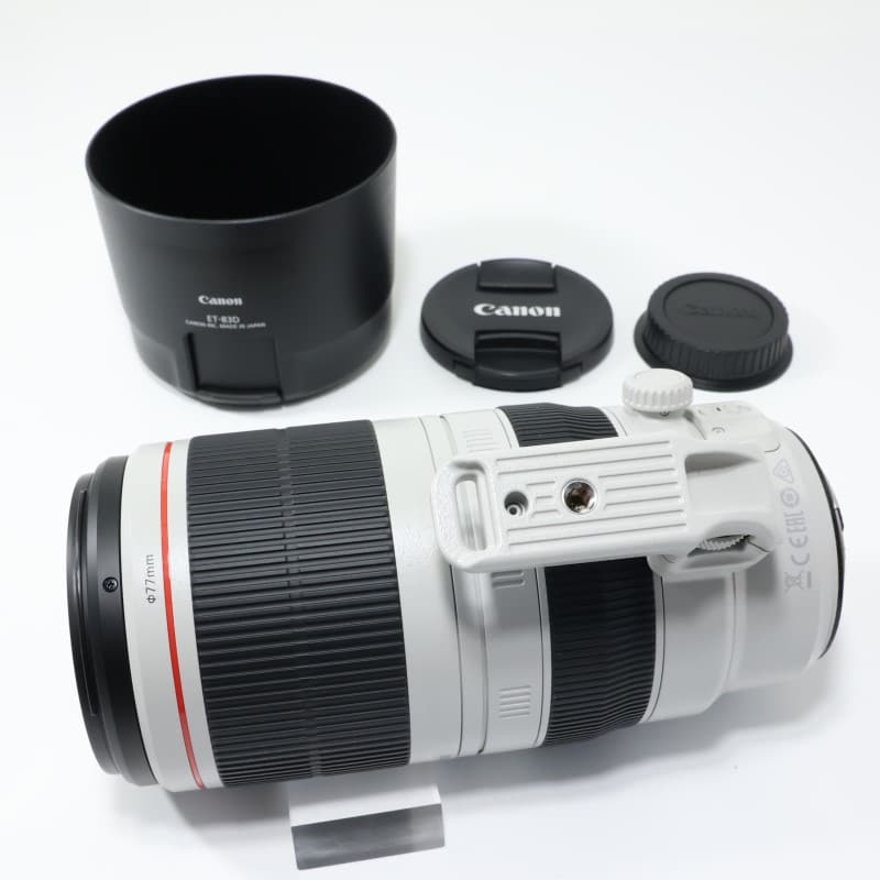 EF100-400mm F4.5-5.6L IS II USM