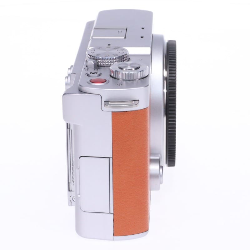 Panasonic LUMIX S9 ボディのみ ライトシルバー(キャメルオレンジ) A