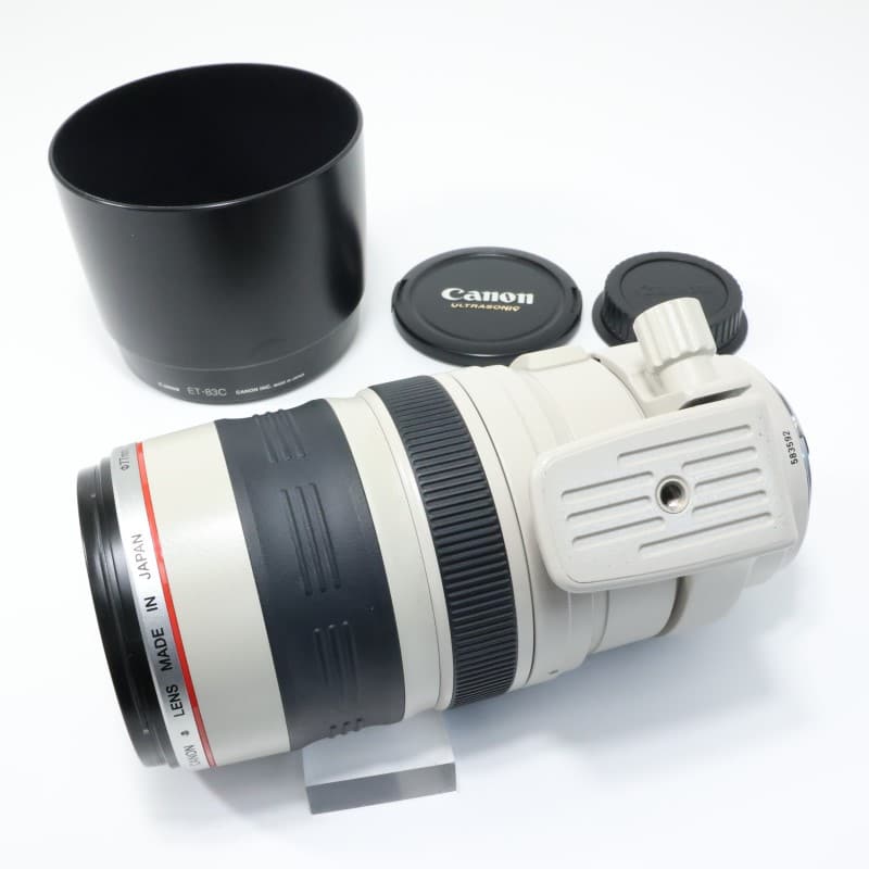 EF 100-400mm F4.5-5.6 L IS USM