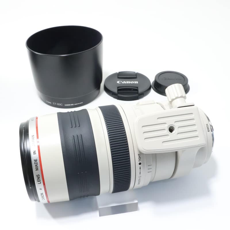 EF 100-400mm F4.5-5.6 L IS USM