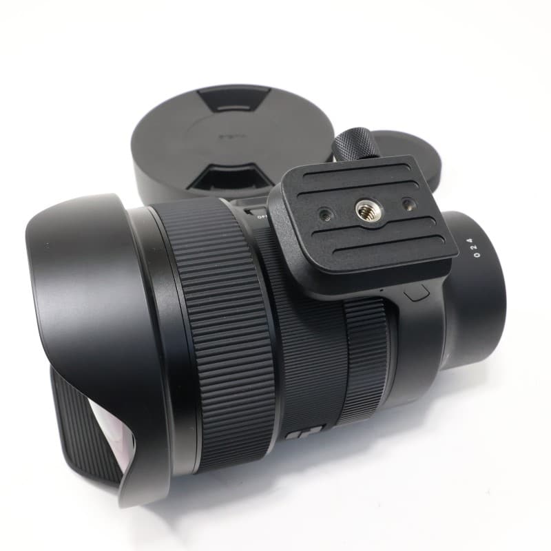 15mm F1.4 DG DN DIAGONAL FISHEYE | Art ソニーE