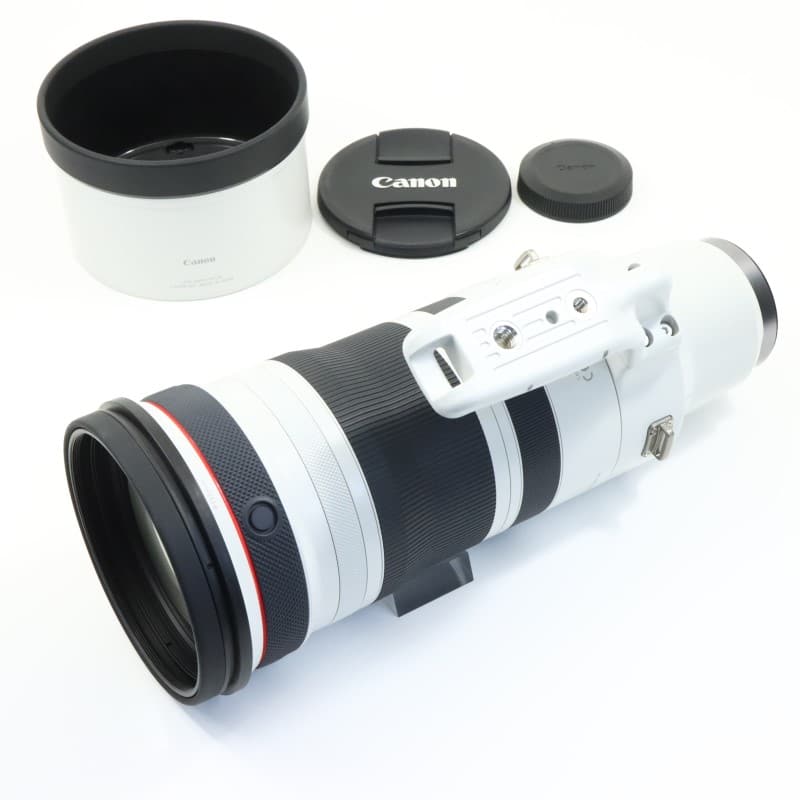 RF100-300mm F2.8 L IS USM