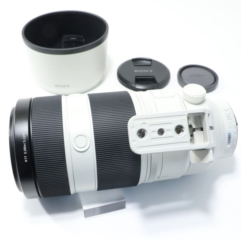 FE 100-400mm F4.5-5.6 GM OSS SEL100400GM