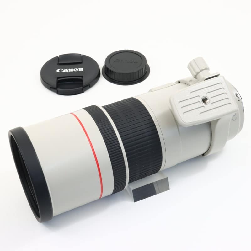 EF 300mm F4 L IS USM