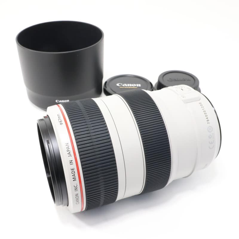 EF 70-300mm F4-5.6 L IS USM