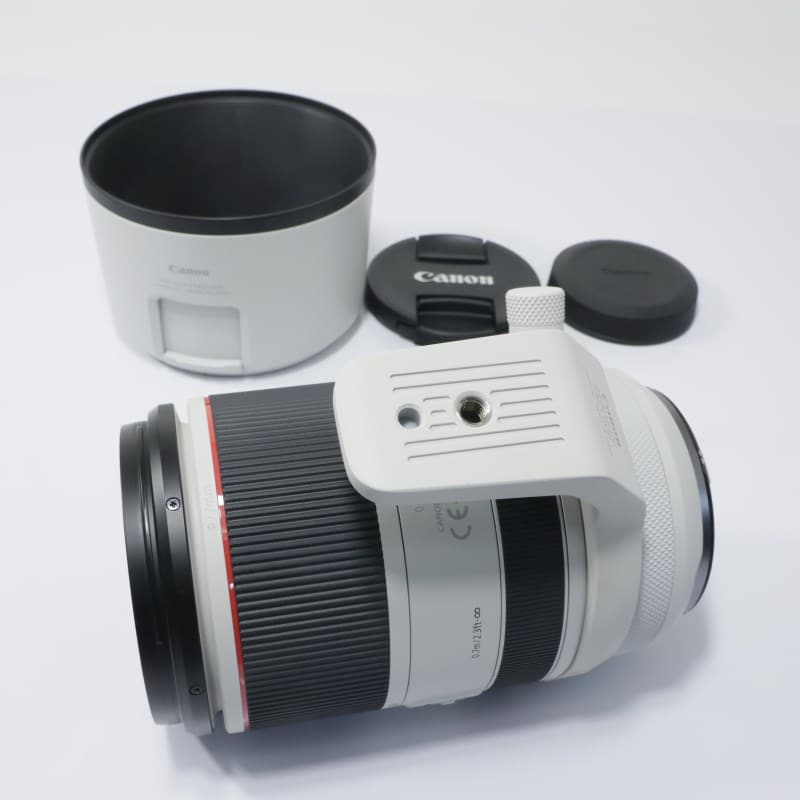 RF70-200mm F2.8 L IS USM