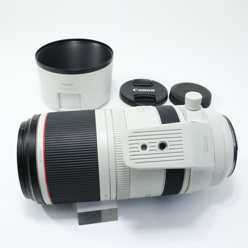 RF100-500mm F4.5-7.1 L IS USM
