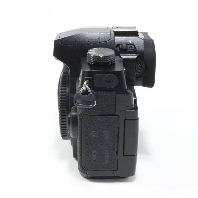 LUMIX DC-G99D