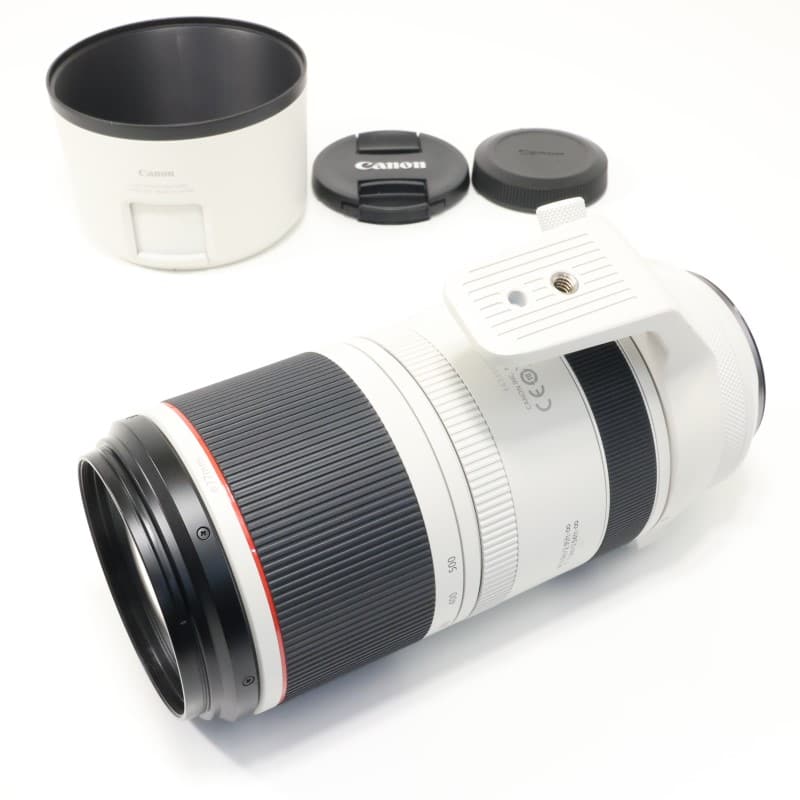 RF100-500mm F4.5-7.1 L IS USM
