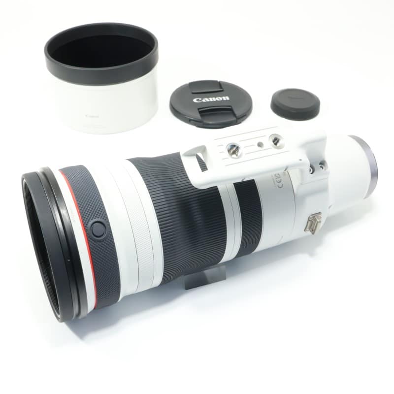 RF100-300mm F2.8 L IS USM