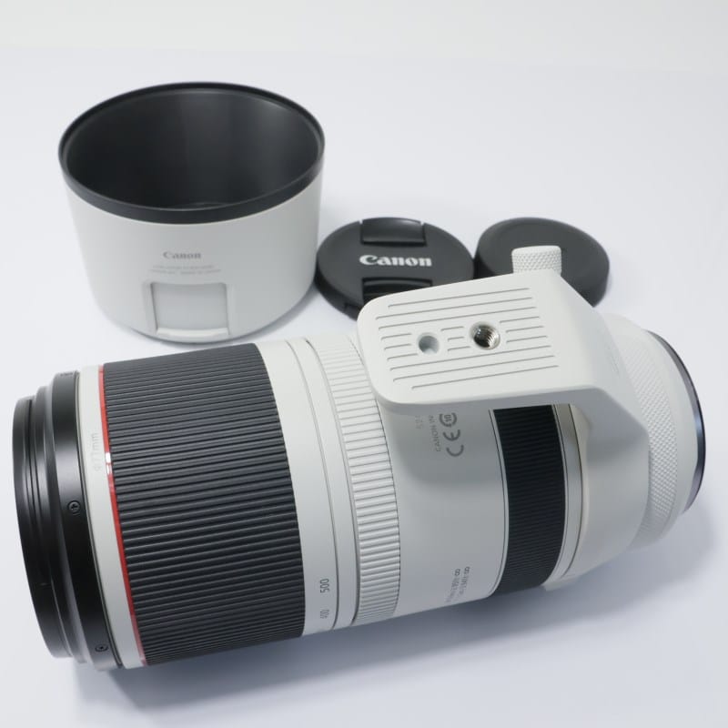 RF100-500mm F4.5-7.1 L IS USM