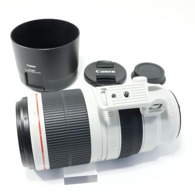 EF100-400mm F4.5-5.6L IS II USM