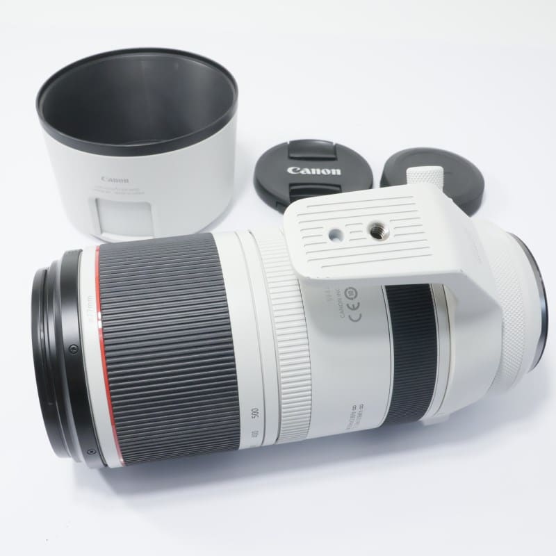 RF100-500mm F4.5-7.1 L IS USM