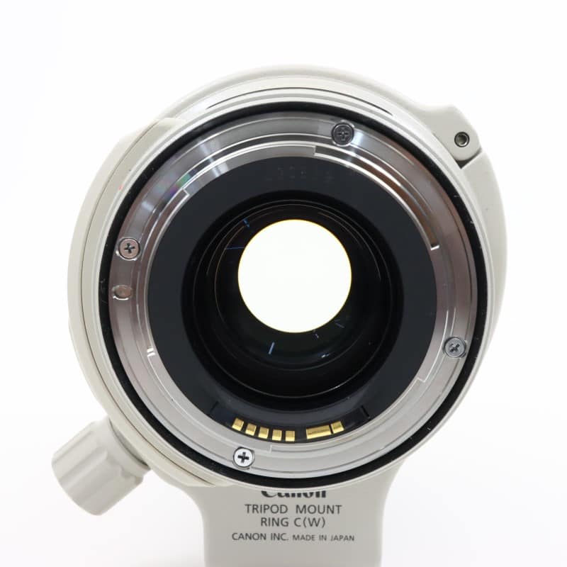 EF 28-300mm F3.5-5.6 L IS USM
