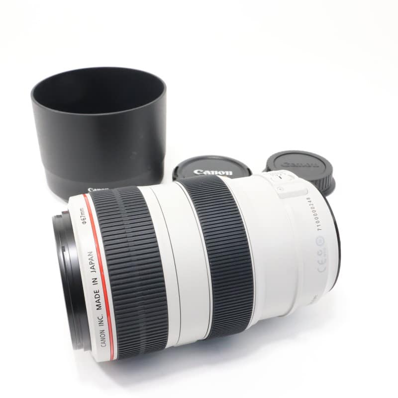 EF 70-300mm F4-5.6 L IS USM