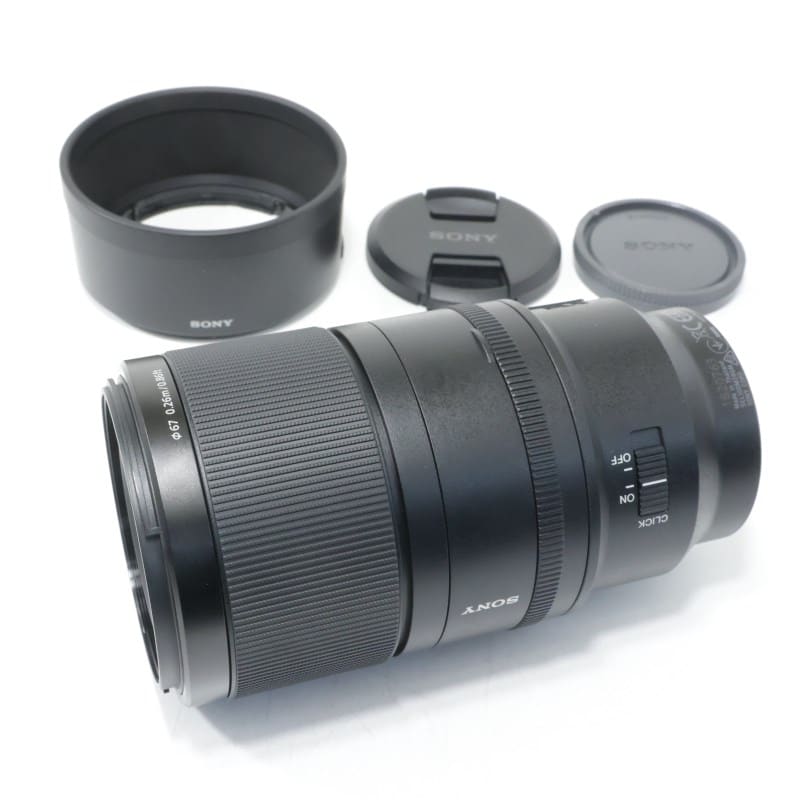 FE 100mm F2.8 Macro GM OSS SEL100M28GM