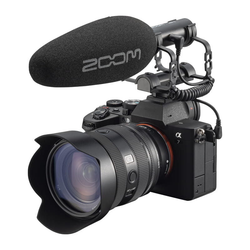 ZSG-1