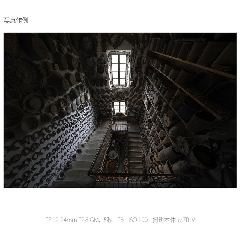 FE 12-24mm F2.8 GM SEL1224GM