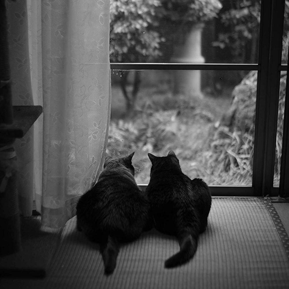 7Artisans 35mm F1.2 ブラック ソニーEマウント 3512EB
