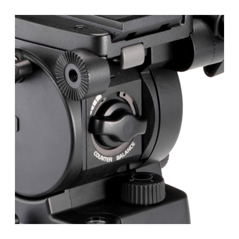 FHD-81