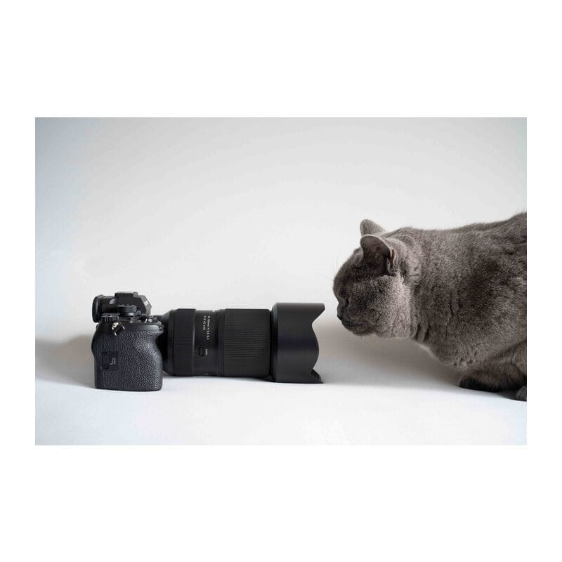 50-300mm F/4.5-6.3 Di III VC VXD (Model A069) ソニーEマウント
