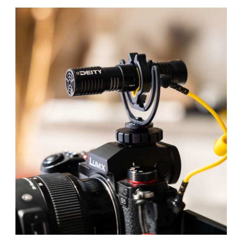 DTA0165D30 [V-Mic D4 DUO]