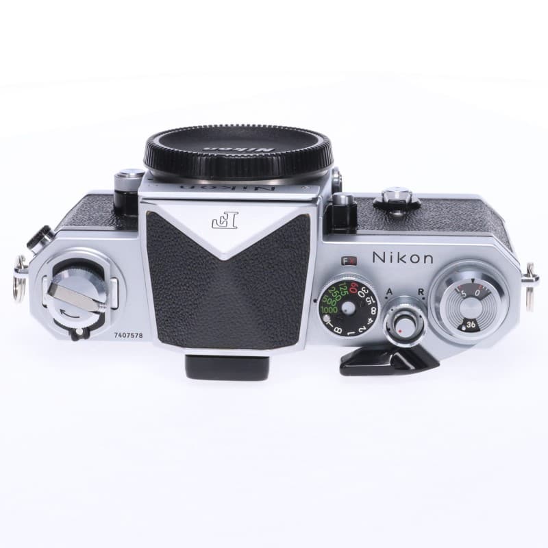 F アイレベル 後期 シルバー