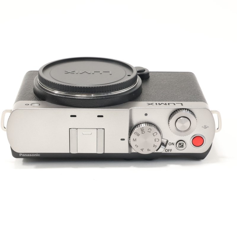 LUMIX S9 ボディ シルバー DC-S9-S