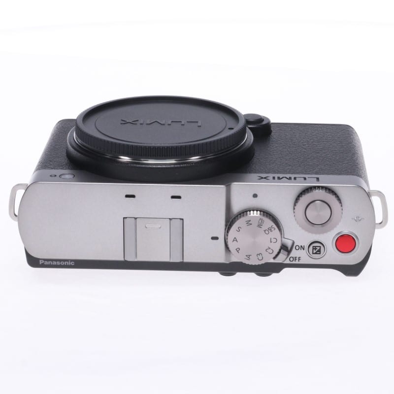 LUMIX S9 ボディ シルバー DC-S9-S