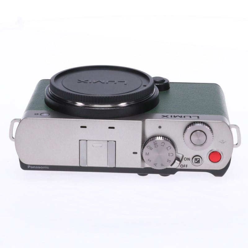 LUMIX S9 ボディ ダークシルバー DC-S9-S