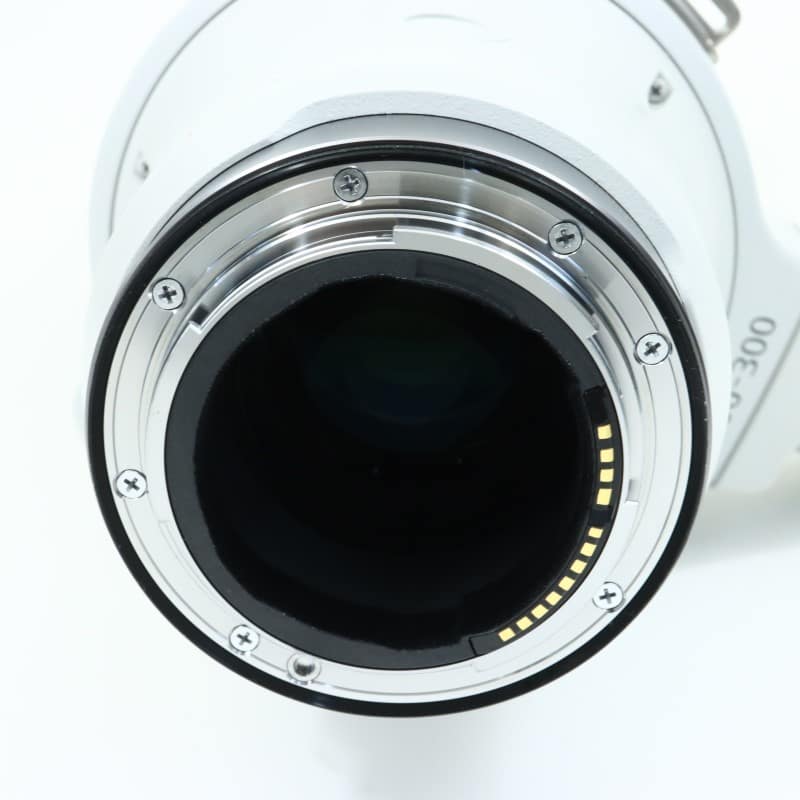 RF100-300mm F2.8 L IS USM