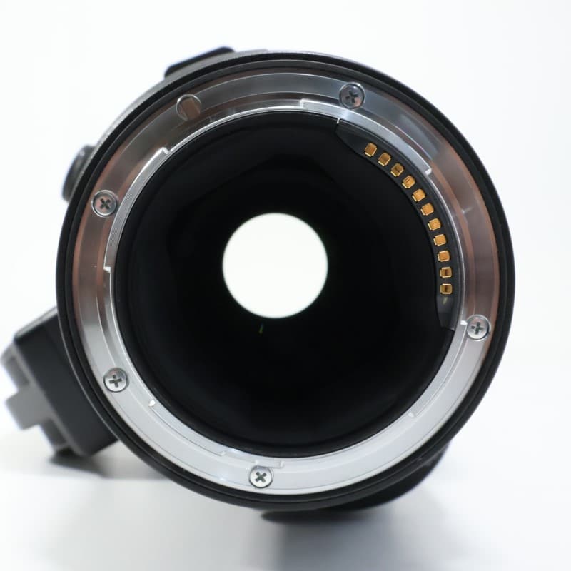 NIKKOR Z 600mm f/4 TC VR S