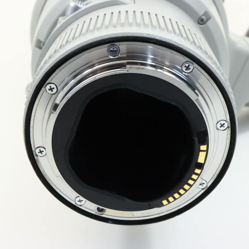 EF 500mm F4 L IS II USM