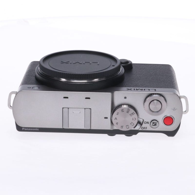LUMIX S9 ボディ ダークシルバー DC-S9-S