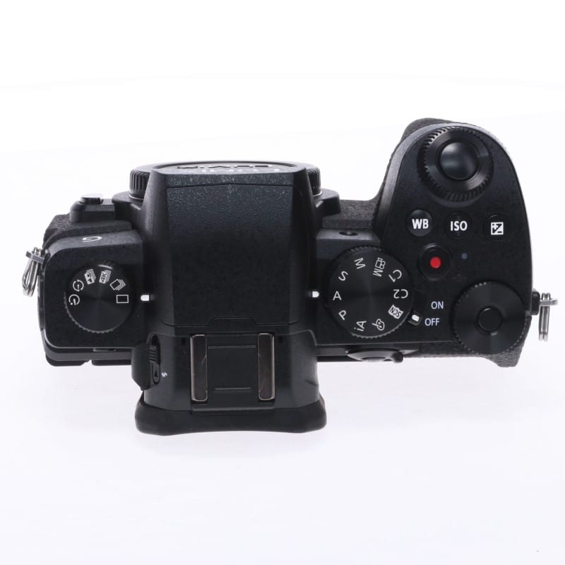 LUMIX G99 DC-G99