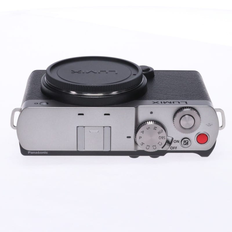 LUMIX S9 ボディ シルバー DC-S9-S