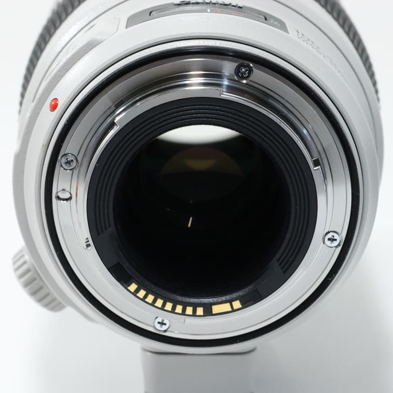 EF100-400mm F4.5-5.6L IS II USM