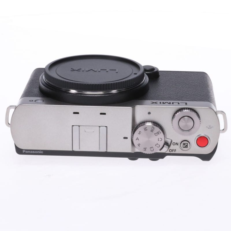 LUMIX S9 ボディ シルバー DC-S9-S
