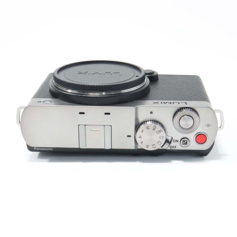 LUMIX S9 ボディ シルバー DC-S9-S